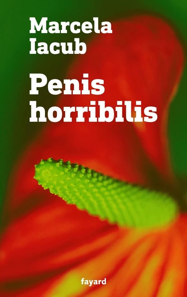 Penis horribilis: une autre histoire du mouvement #MeToo