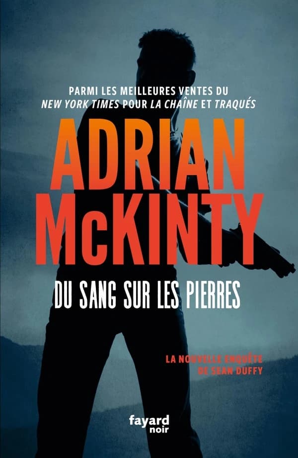Du sang sur les pierres : une enquête de l'inspecteur Sean Duffy
