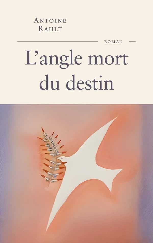 L'angle mort du destin : roman