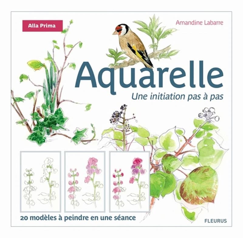 Aquarelle  - Une initiation pas à pas