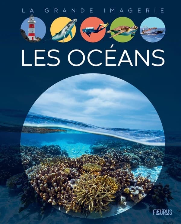 Les océans (3e éd.) textes, Sylvie Deraime ; illustrations, Betti Ferrero,... ; relecture scientifique, Gilles Dawidovicz