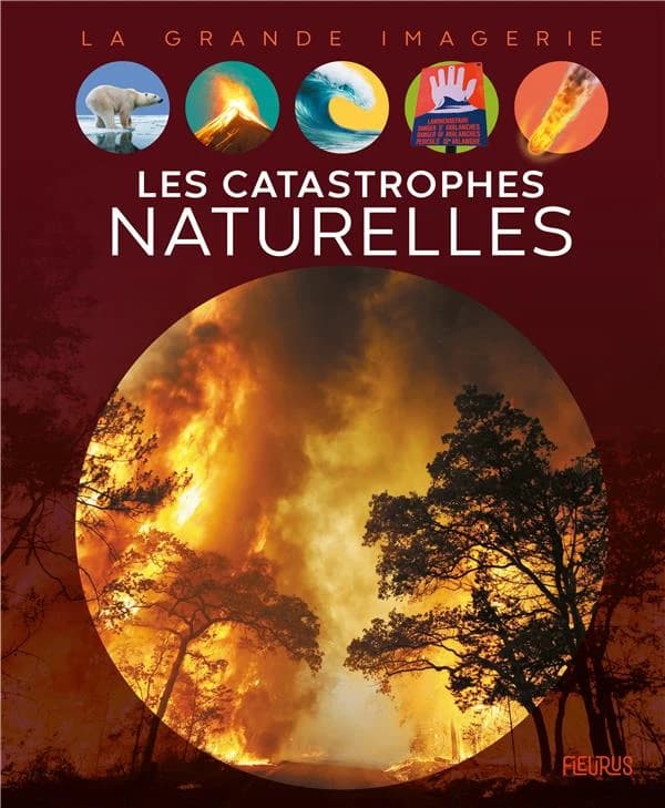 Les catastrophes naturelles (3e éd.)
