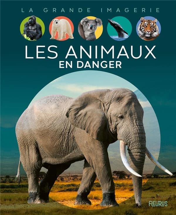 Les animaux en danger (2 éd.) textes, Sabine Boccador ; relecture scientifique, Cécile Arnoud et Jennifer Matas