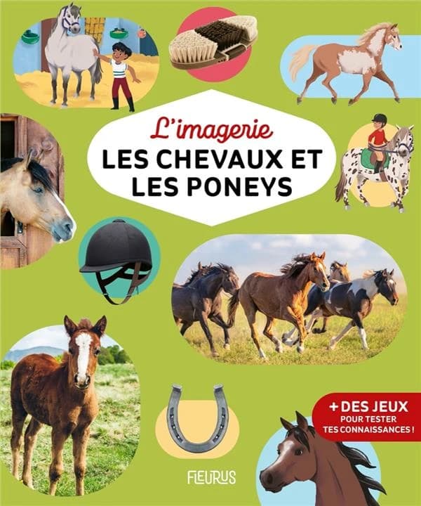 L'imagerie les chevaux et les poneys