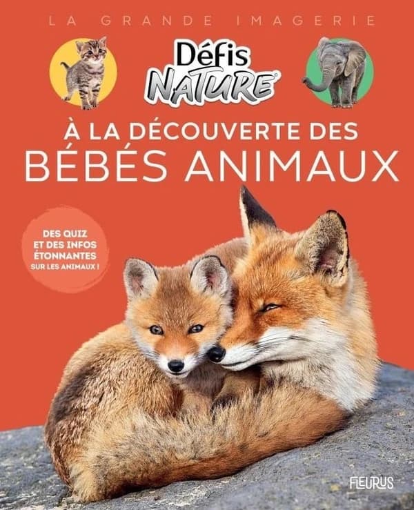 À la découverte des bébés animaux (1re édition) textes Danièle Boone [...]