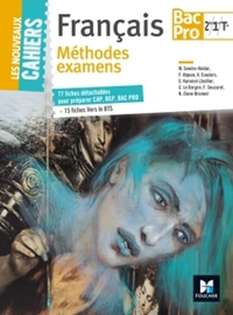 Les nouveaux cahiers ; méthode examens CAP, BEP, BAC pro, BTS ; francais 2de