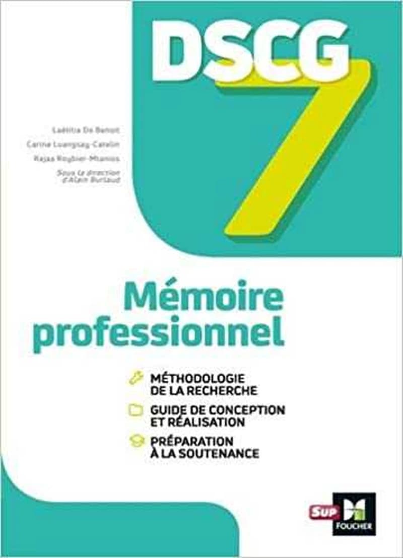 Mémoire professionnel : manuel
