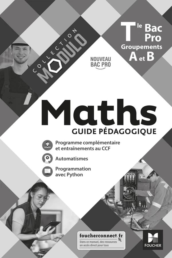 Maths Tle Bac Pro Groupements A et B Modulo : Guide pédagogique