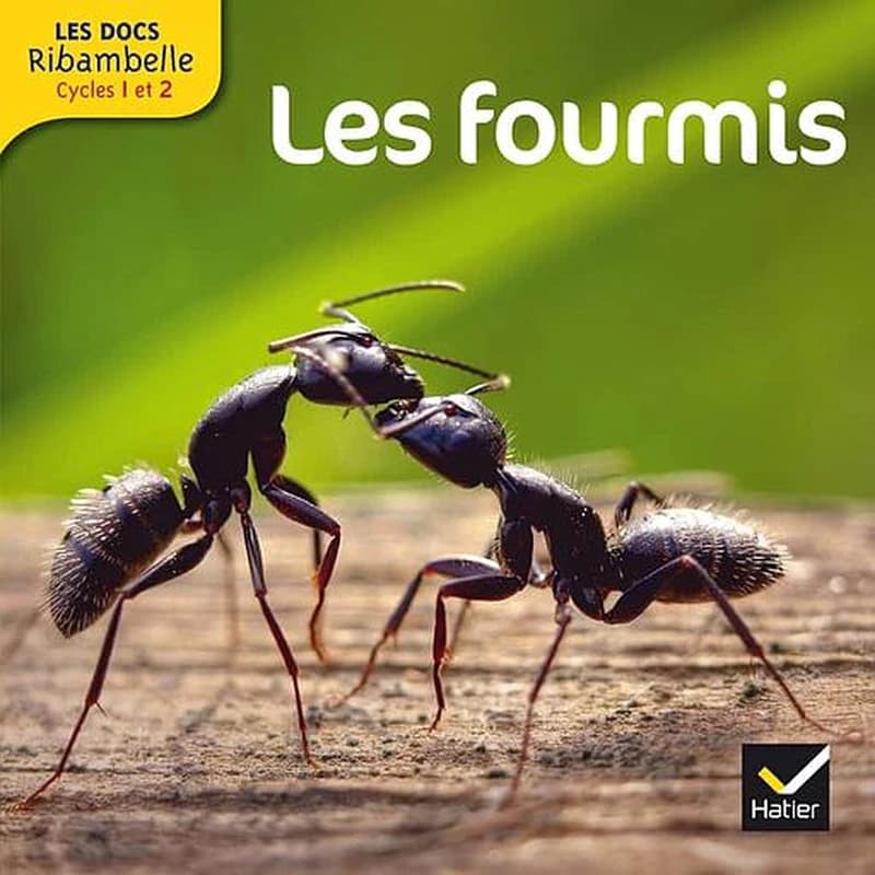 Les Docs Ribambelle Cycle 2 éd. 2014 - Les fourmis (French Edition)