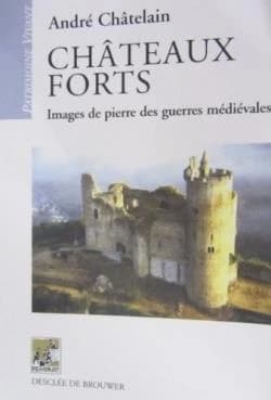 Châteaux forts ; images de pierre des guerres médiévales