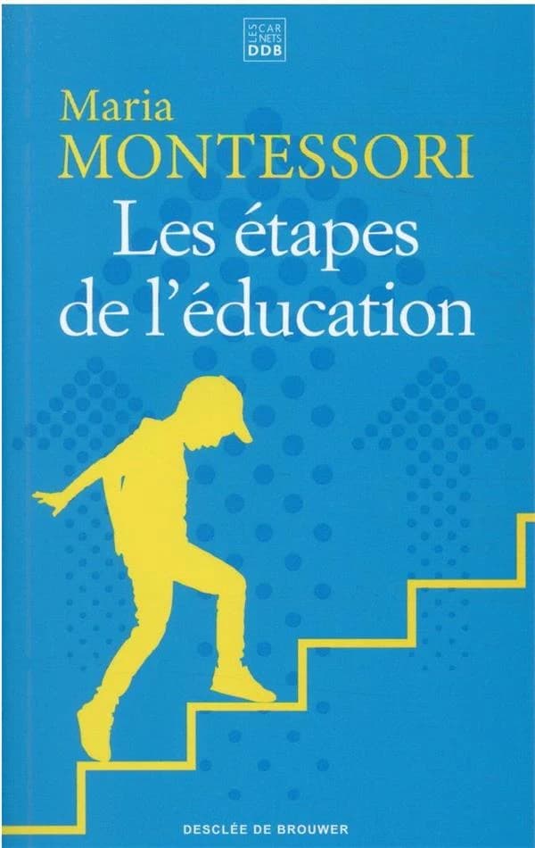 Les étapes de l'éducation