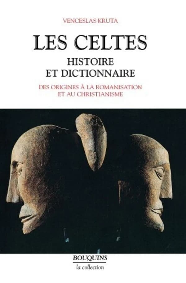 Les Celtes : histoire et dictionnaire : des origines à la romanisation et au christianisme