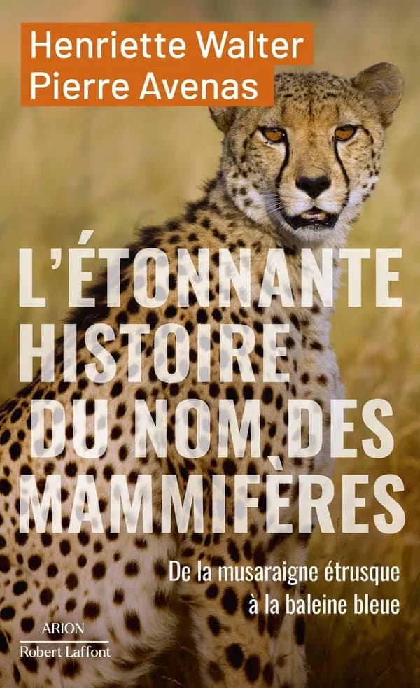 L'étonnante histoire des noms des mammifères : De la musaraigne étrusque à la baleine bleue