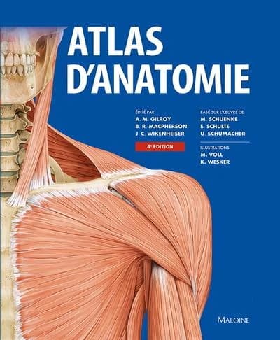 Atlas d'anatomie : 2113 illustrations (4e éd.) basé sur l'oeuvre de Michael Schuenke,... Erik Schulte,... Udo Schumacher,... ; édité par Anne M. Gilroy,... Brian R. MacPherson,... Jamie C. Wikenheiser,... ; illustrations par Markus Voll, Karl Wesker