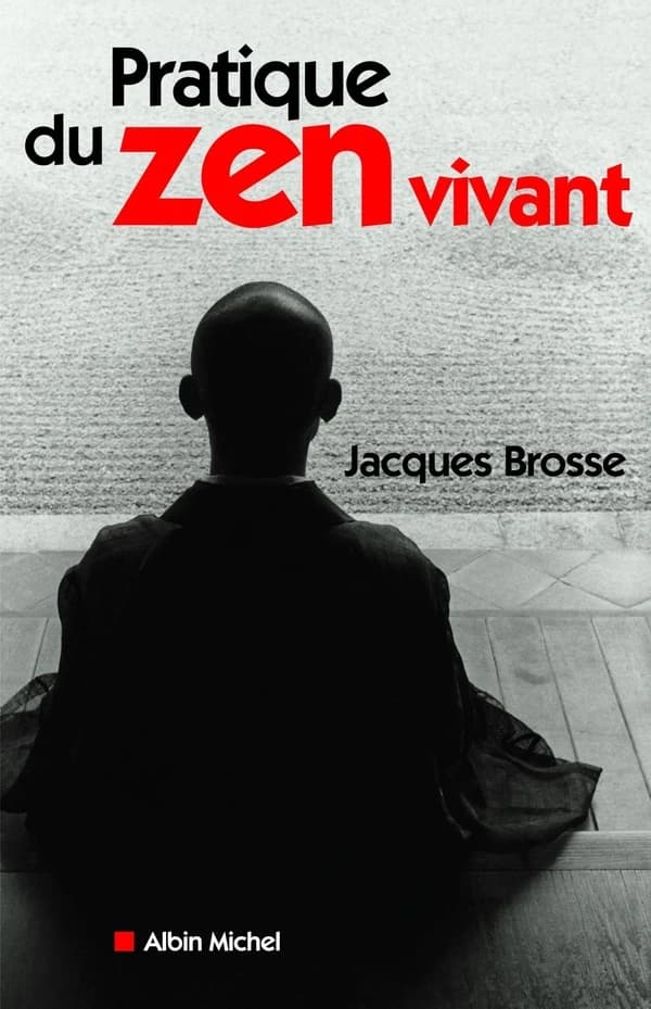 Pratique du zen vivant : l'enseignement de l'éveil silencieux
