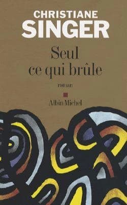 Seul ce qui brûle : roman