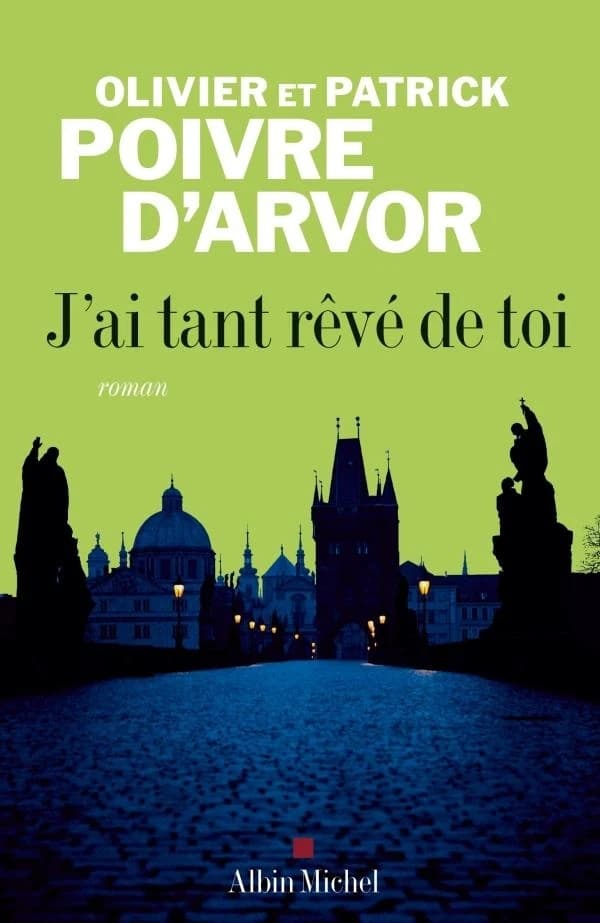 J'ai tant rêvé de toi : roman