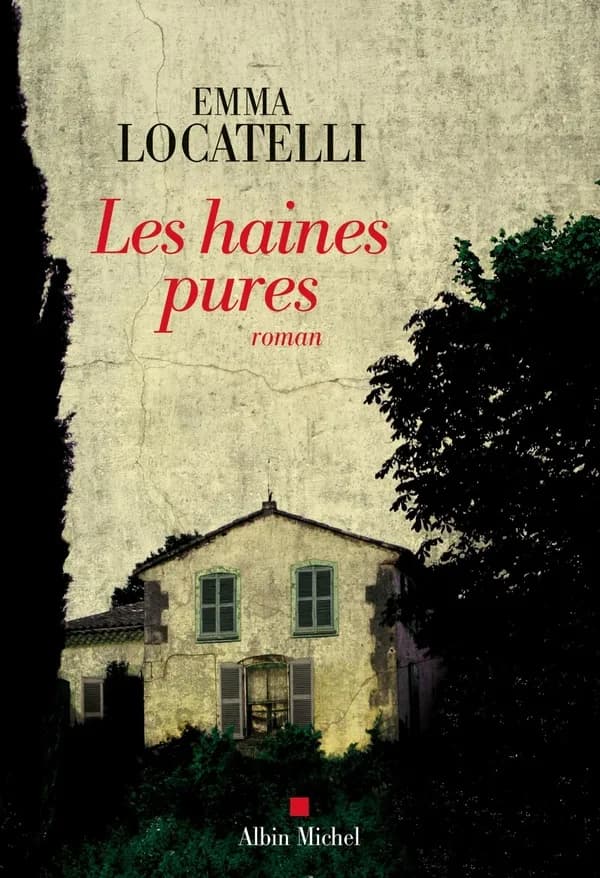 Les haines pures : roman