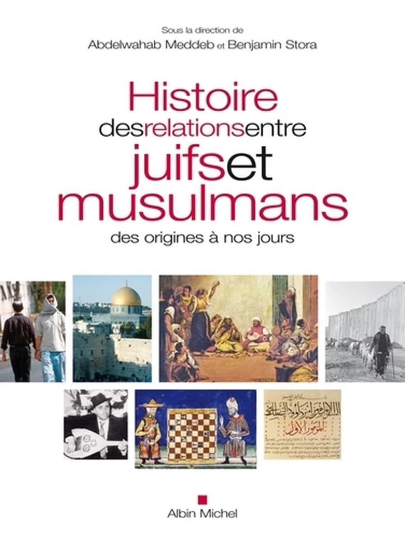 Histoire des relations entre juifs et musulmans : origines a nos jours (French Edition)
