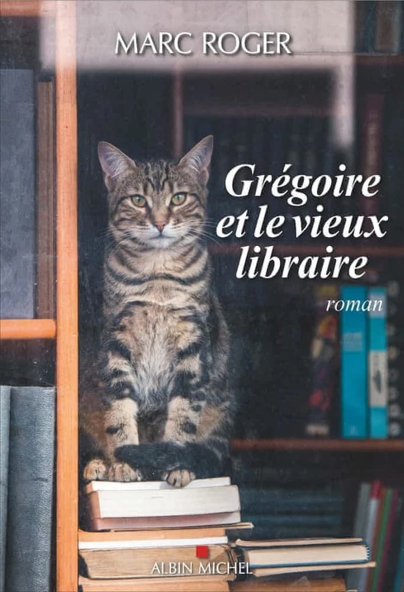 Grégoire et le vieux libraire : roman