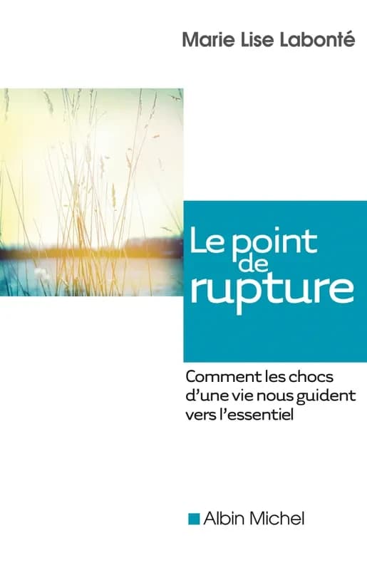 Le Point de rupture : Comment les chocs d'une vie nous guident vers l'essentiel