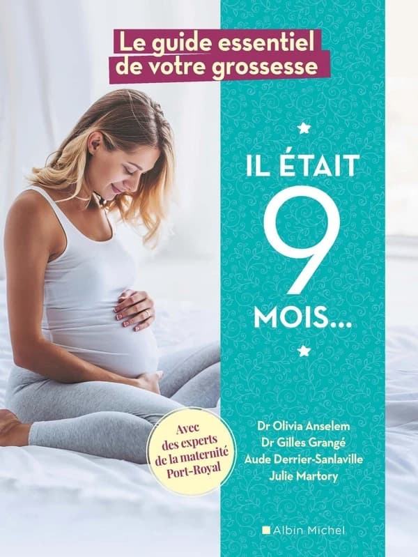 Il était 9 mois : le guide essentiel de votre grossesse