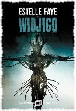 Widjigo : roman