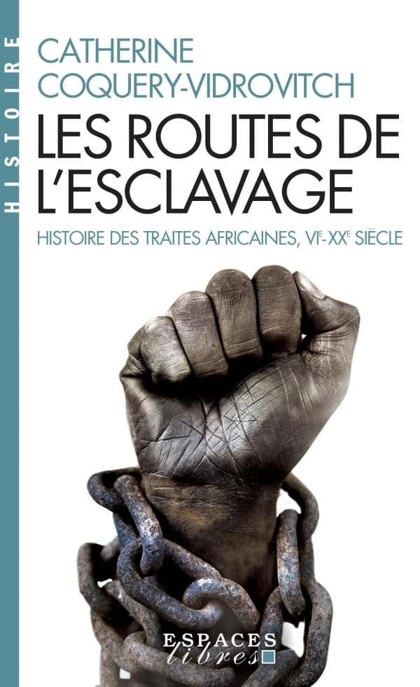 Les Routes de l'esclavage : Histoire des traites africaines VIe-XXe siècle