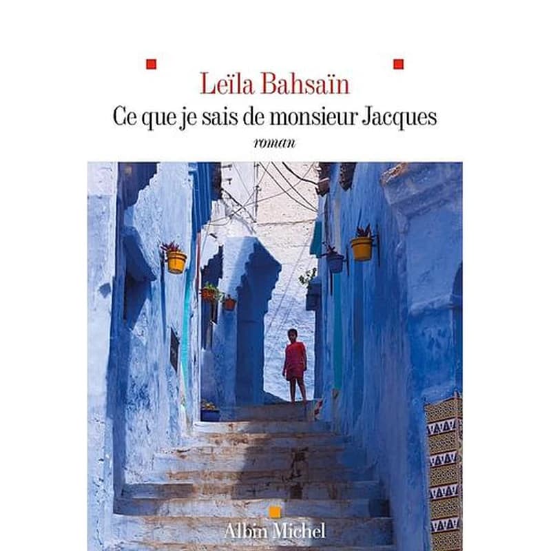 Ce que je sais de monsieur Jacques : roman