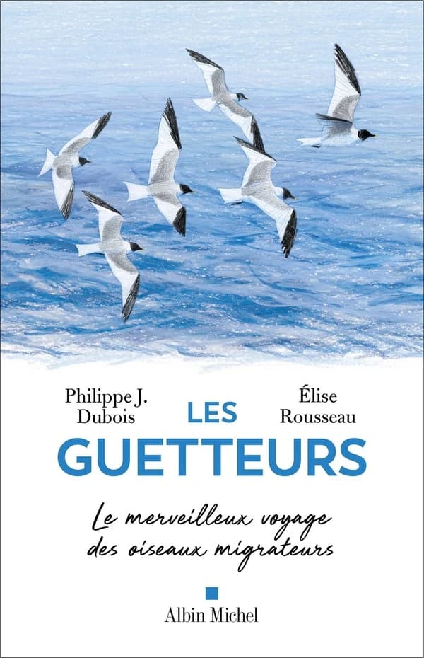 Les guetteurs : récit