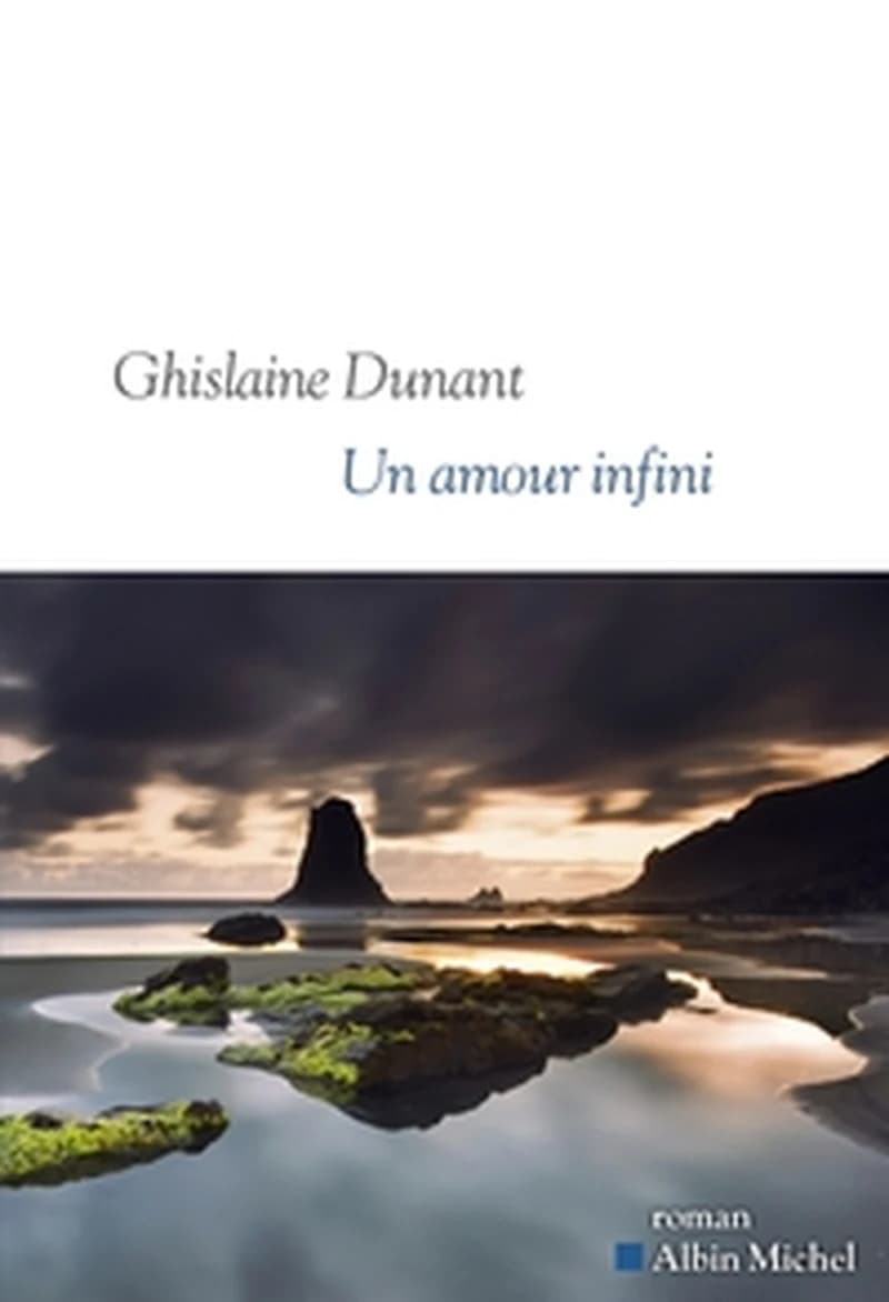 Un amour infini : roman