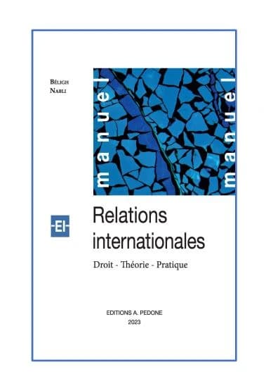 Relations internationales : droit, théorie, pratique