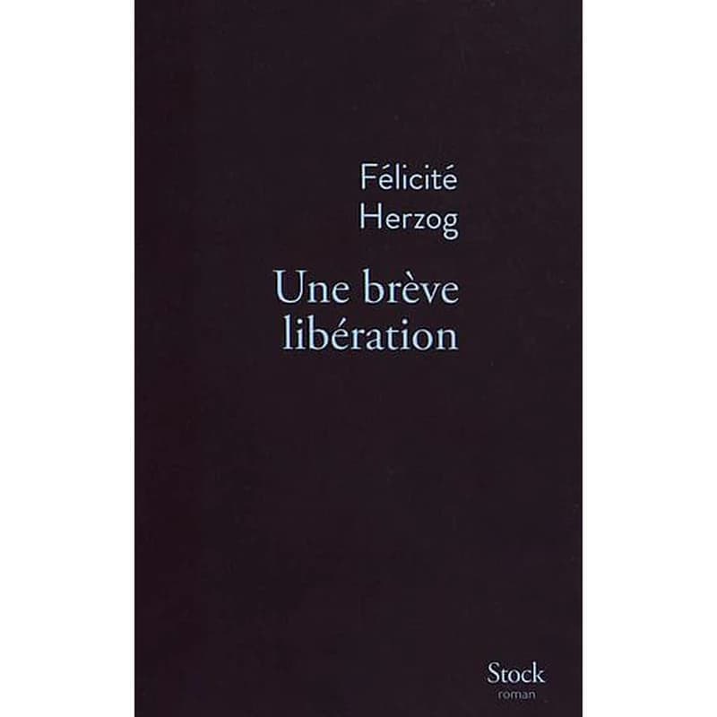 Une brève libération : roman