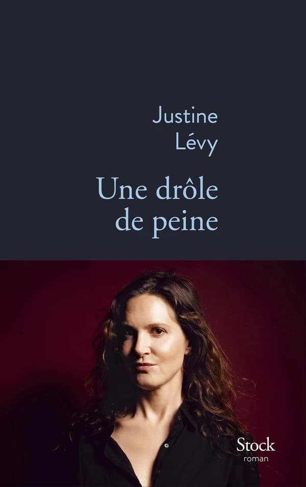 Une drôle de peine : roman