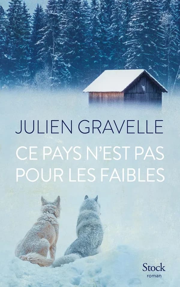 Ce pays n'est pas pour les faibles : roman