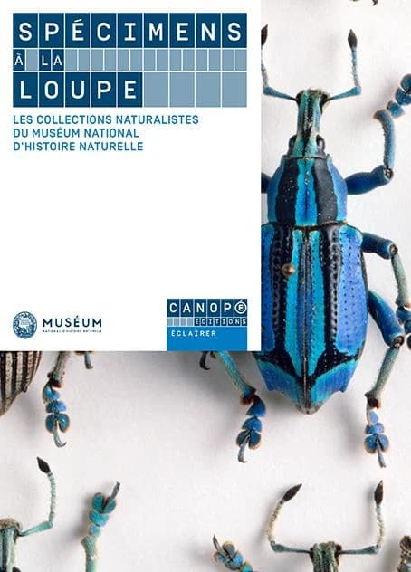 Spécimens à la loupe : les collections naturalistes du Muséum national d'histoire naturelle