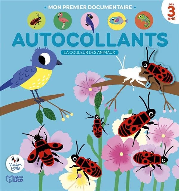 Autocollants : la couleur des animaux : dès 3 ans : [Autocollant]