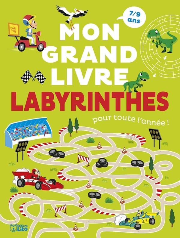 Mon grand livre labyrinthe pour toute l'année !
