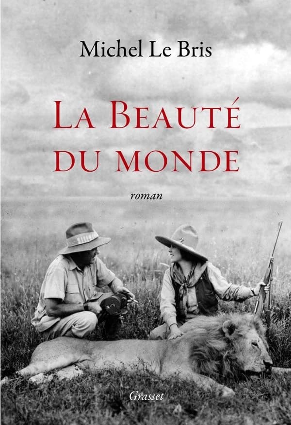 La beauté du monde : roman