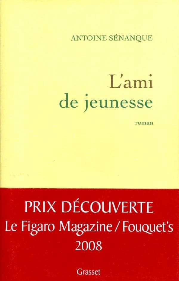 L'ami de jeunesse : roman