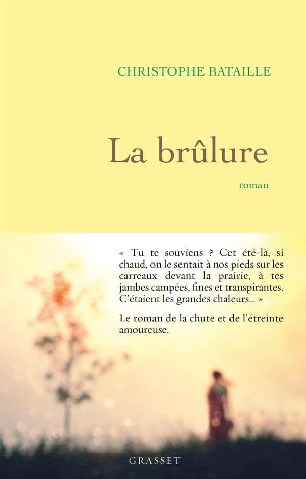 La brûlure : roman