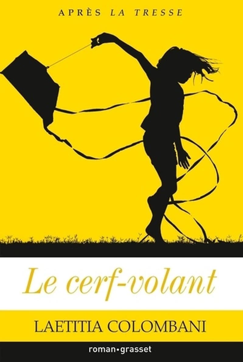 Le cerf-volant : roman