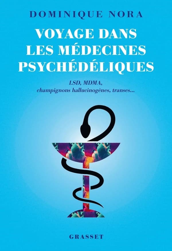 Voyage dans les médecines psychédéliques : LSD, MDMA, champignons hallucinogènes, transes