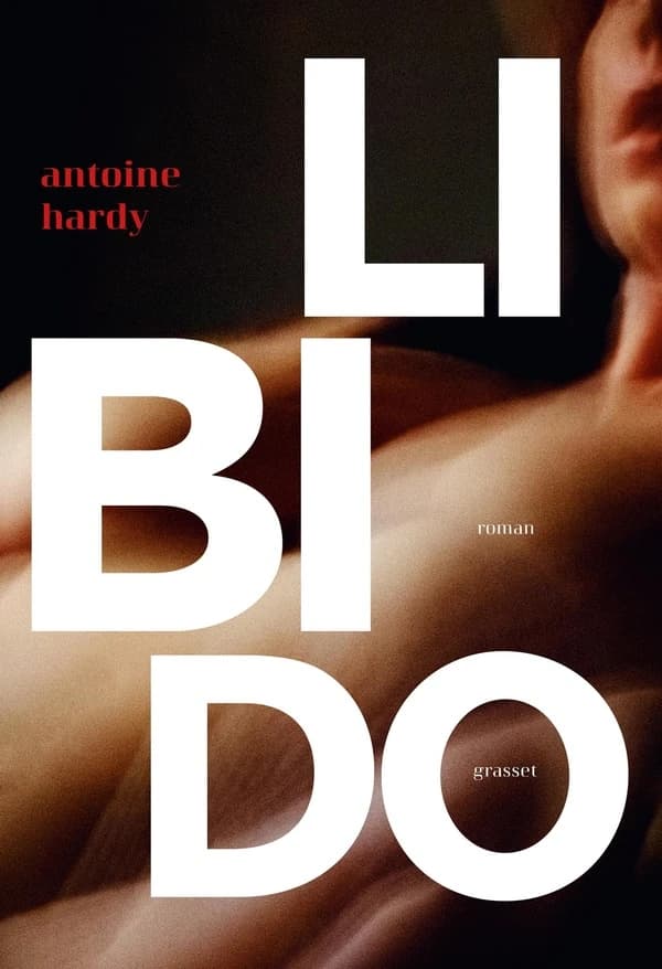 Libido : roman