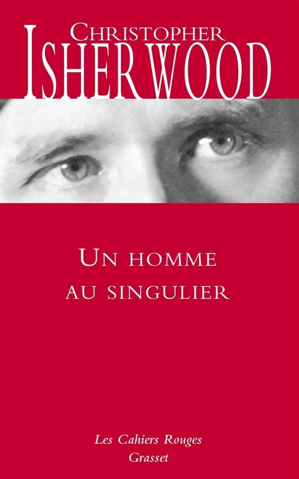 Un homme au singulier : roman