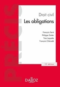 Droit civil : les biens (10e éd., 2018) François Terré,... Philippe Simler,...