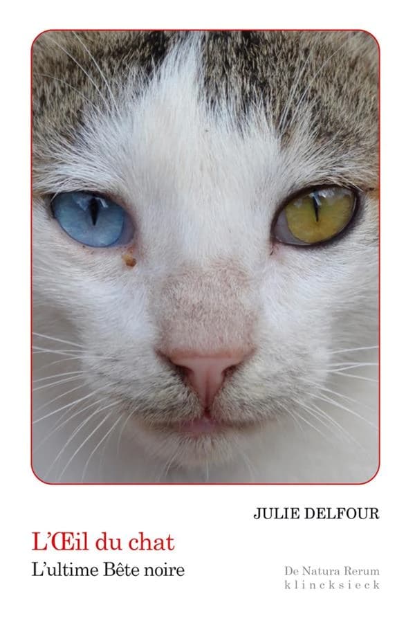 L'œil du chat : l'ultime bête noire