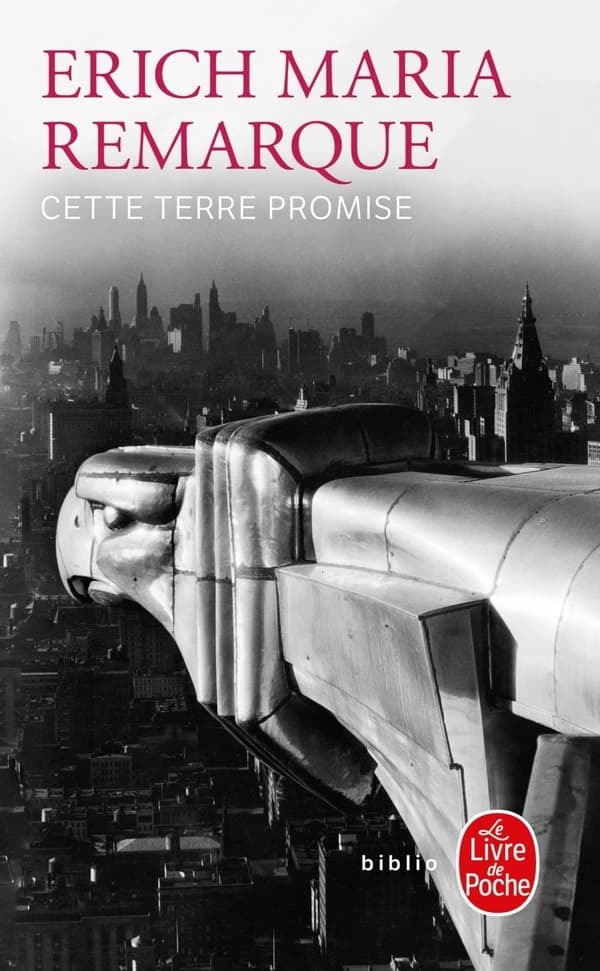 Cette terre promise : roman