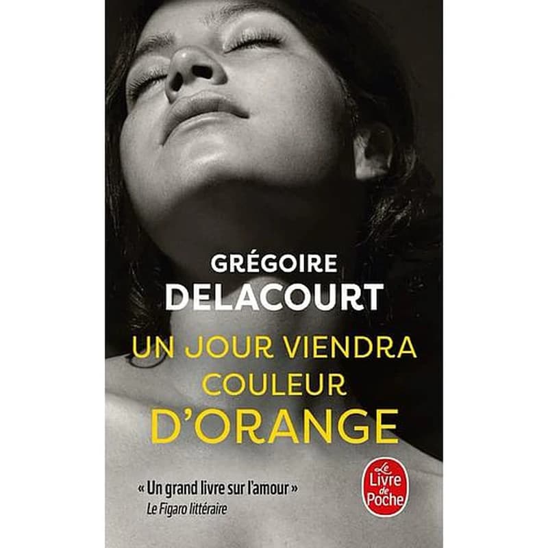 Un jour viendra couleur d'orange : roman