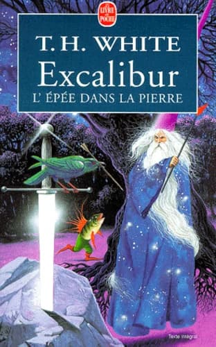 Excalibur : l'épée dans la pierre : roman